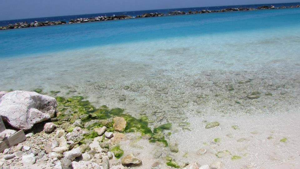 curaçao, curacao, viagem para curaçao, caribe, curaçao caribe, antilhas holandesas, hotel suscape, hotel veneto, hoteis em curaçao, hospedagem em curaçao, all inclusive em curaçao, hoteis all inclusive em curaçao, promoção de passagens aéreas, passagens aéreas, praias de curaçao, kenepa grandi, kenepa gandi, cas abao, port marie, kenepa chiki, lagoon, klein curaçao