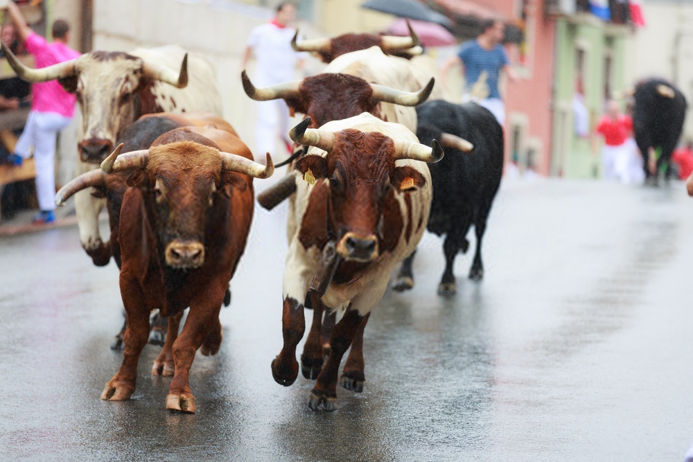 Corrida dos Touros em Pamplona - Pontos Turísticos da Espanha